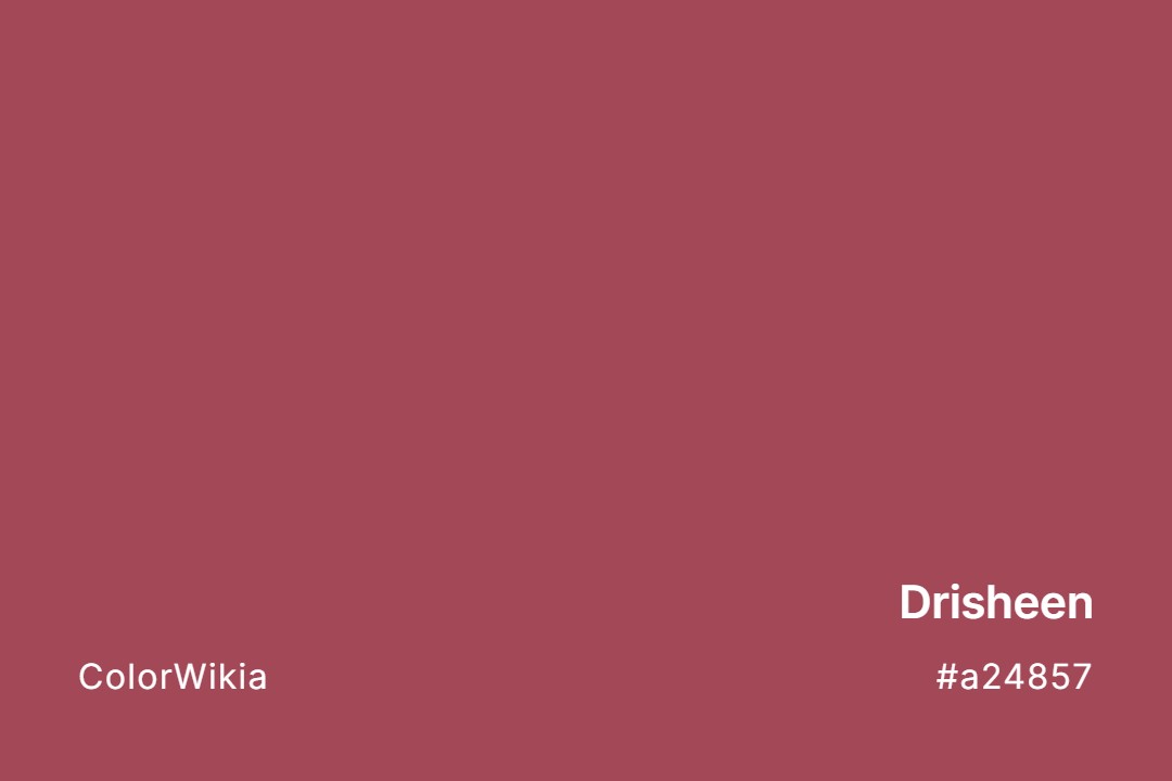 Drisheen Color – #a24857: Codes and Complete Breakdown