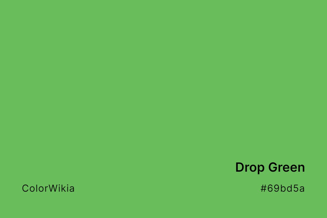Drop Green Color – #69bd5a: Codes and Complete Breakdown