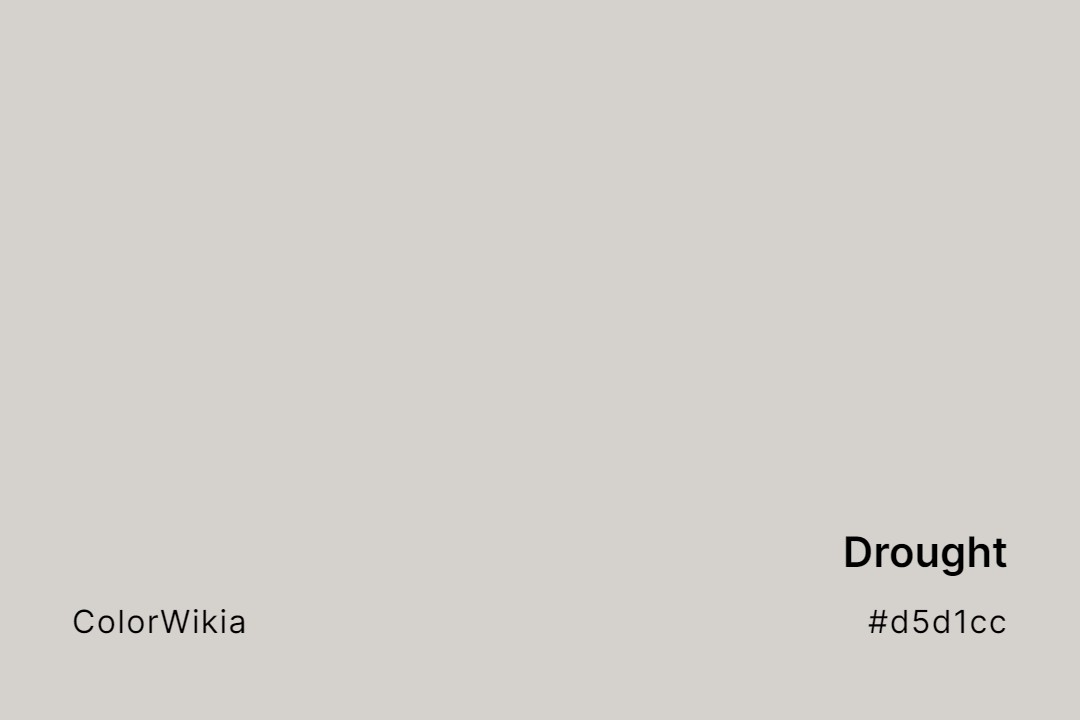 Drought Color – #d5d1cc: Codes and Complete Breakdown