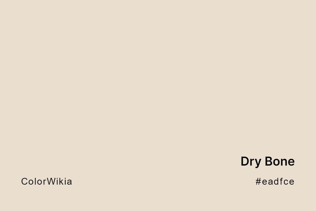 Dry Bone Color – #eadfce: Codes and Complete Breakdown