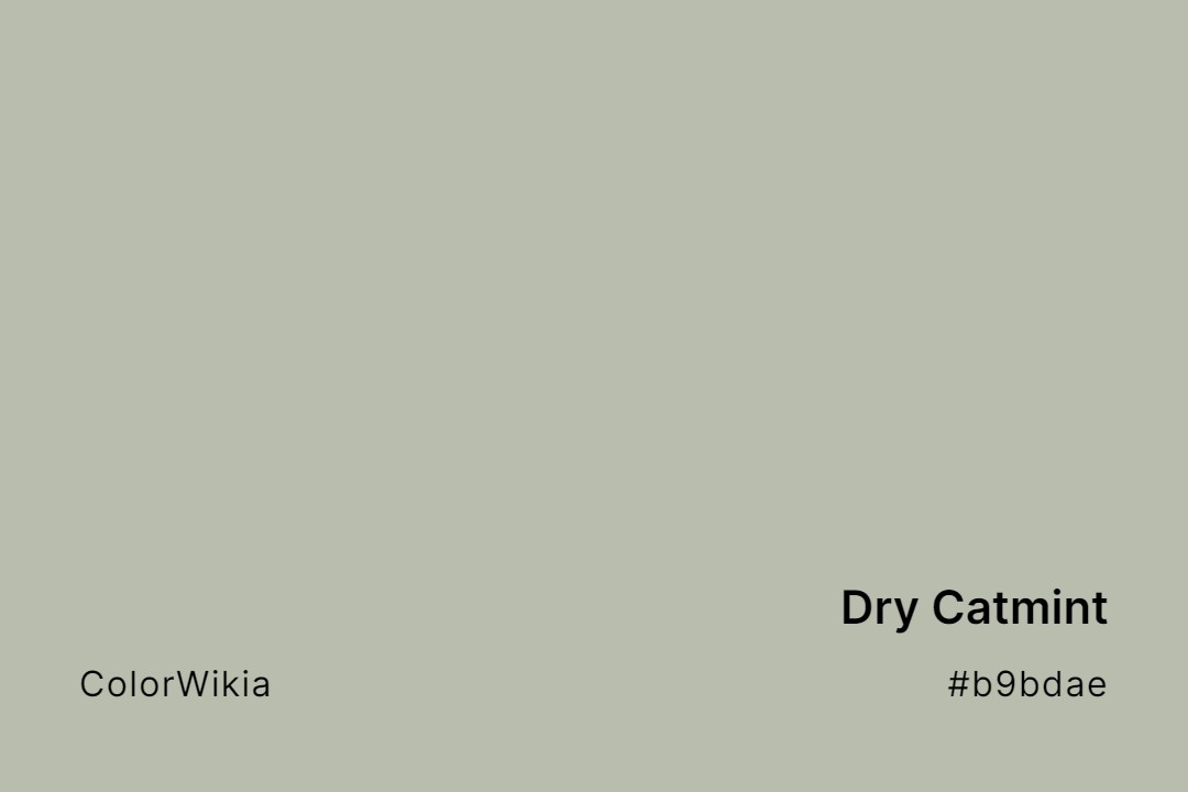 Dry Catmint Color – #b9bdae: Codes and Complete Breakdown