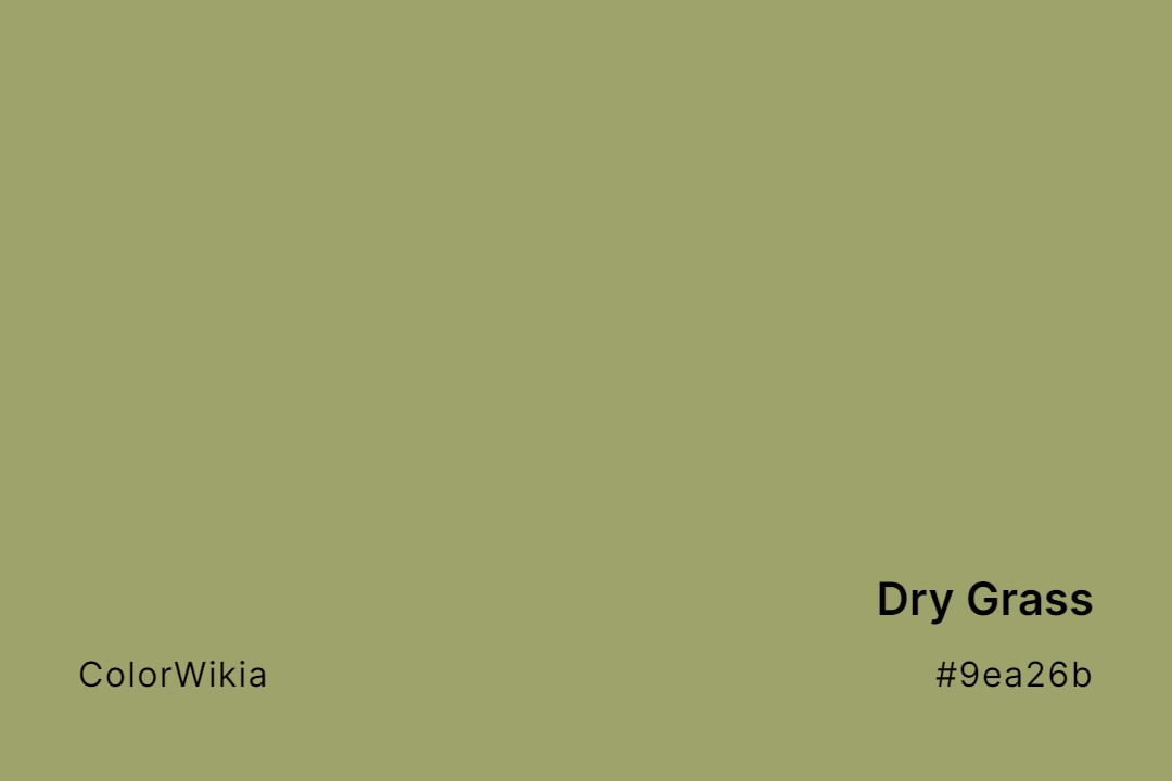 dry grass color 9ea26b