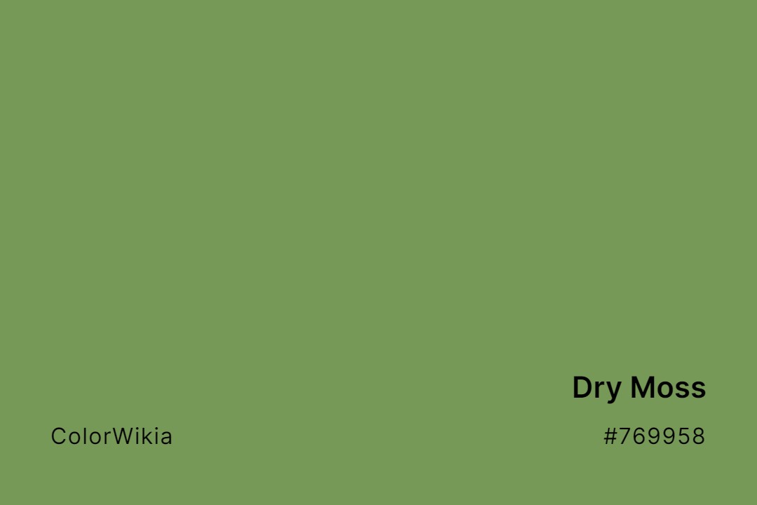 dry moss color 769958
