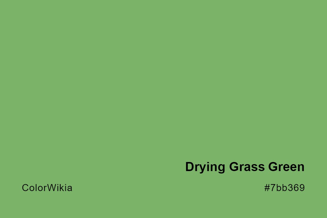 drying grass green color 7bb369