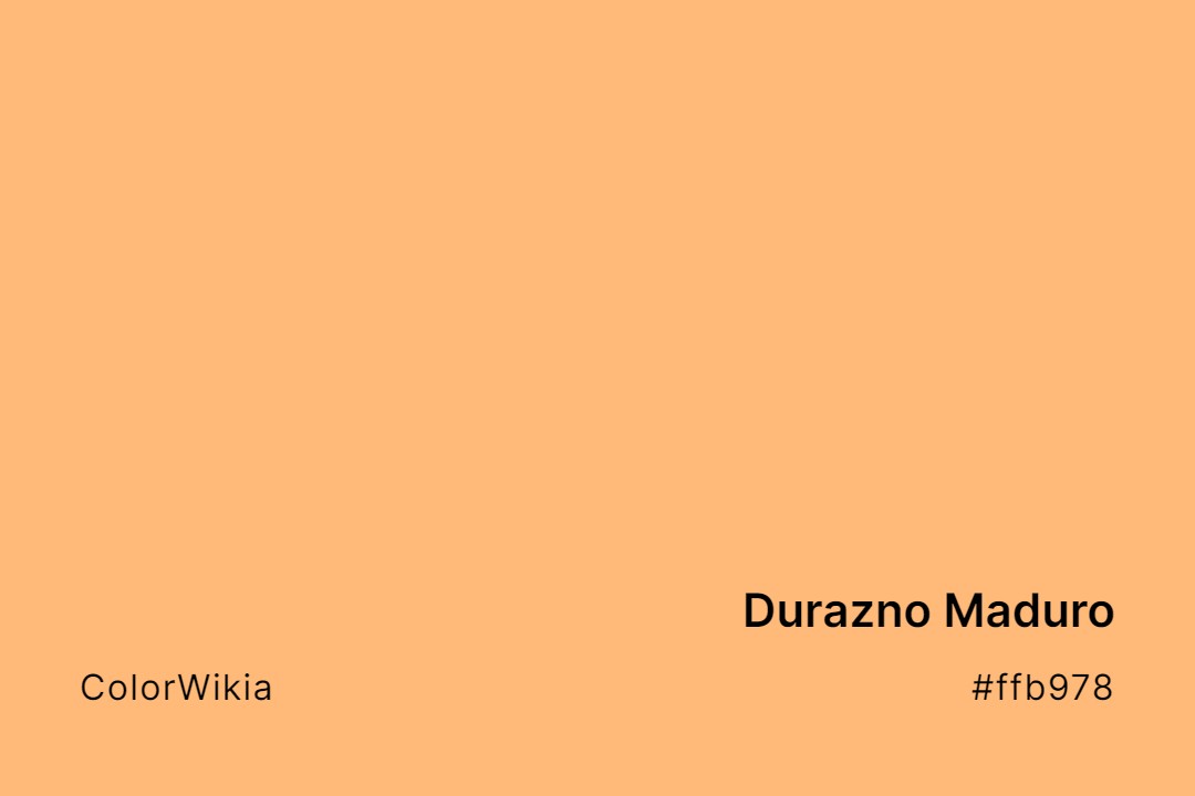 Durazno Maduro Color – #ffb978: Codes and Complete Breakdown