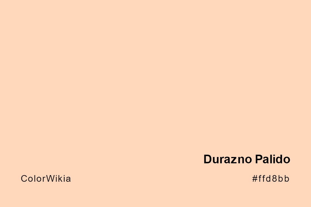 Durazno Palido Color – #ffd8bb: Codes and Complete Breakdown
