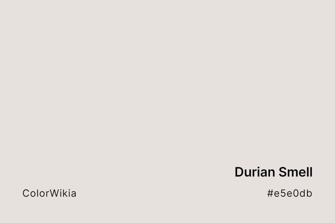 Durian Smell Color – #e5e0db: Codes and Complete Breakdown