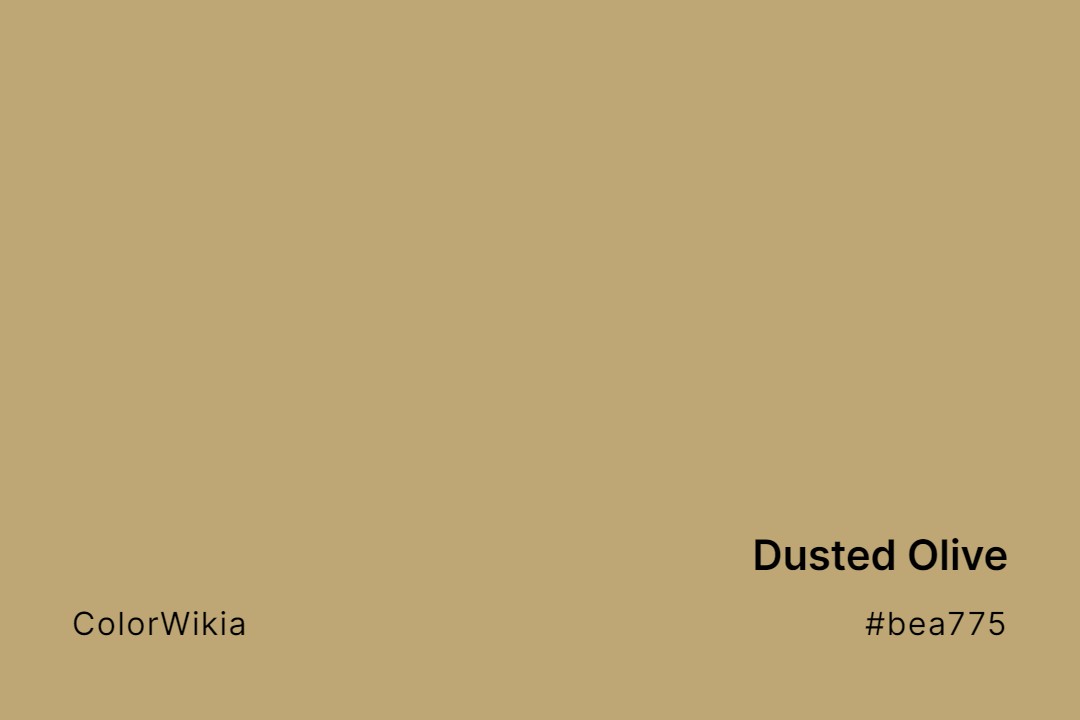 dusted olive color bea775