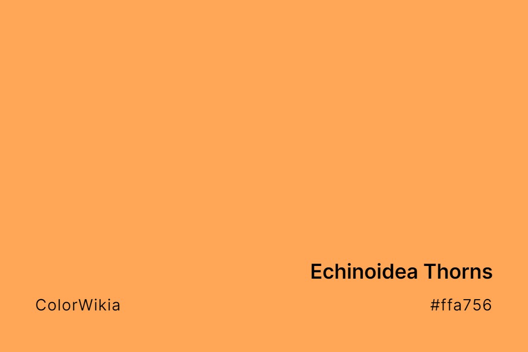 Echinoidea Thorns Color – #ffa756: Codes and Complete Breakdown