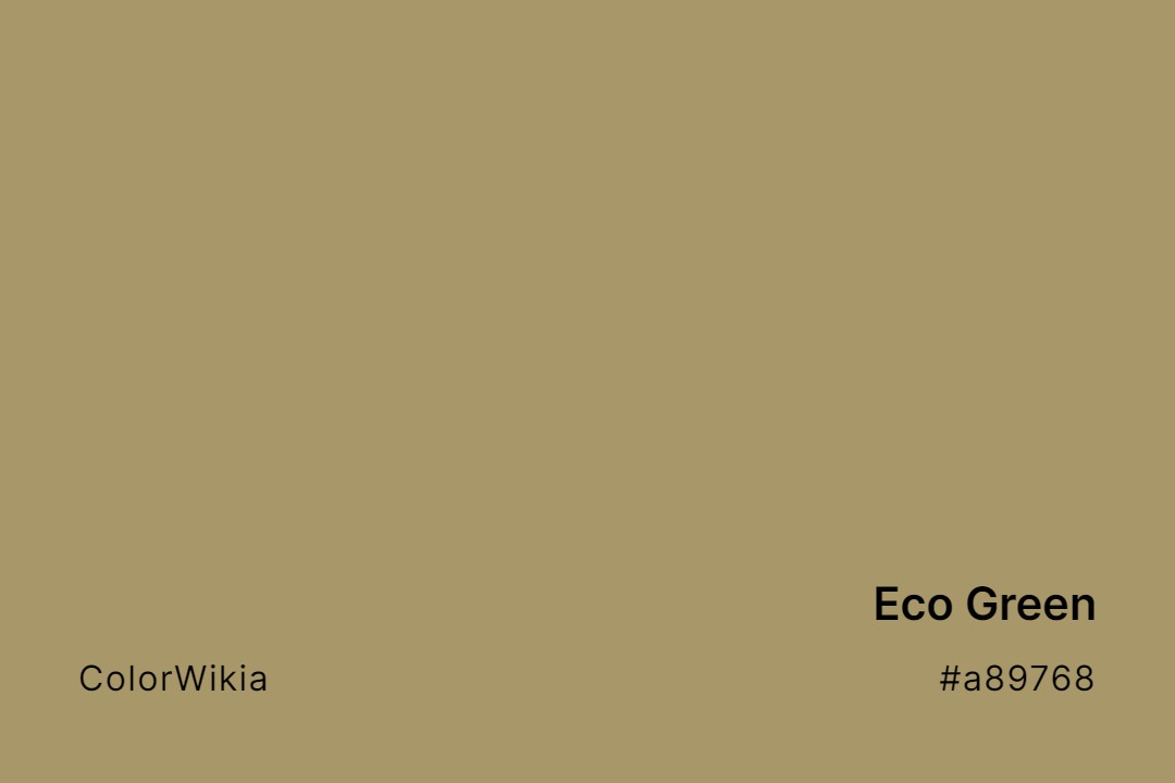 Eco Green Color – #a89768: Codes and Complete Breakdown