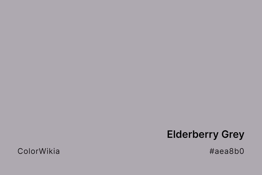 elderberry grey color aea8b0