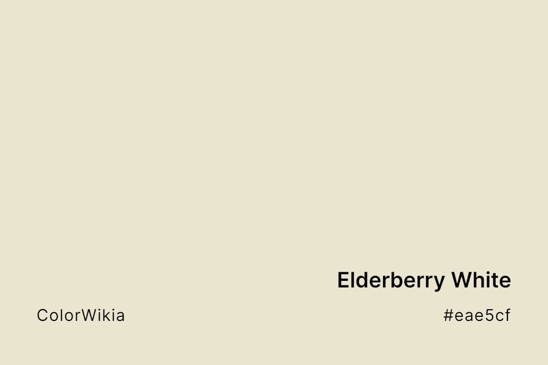 elderberry white color eae5cf
