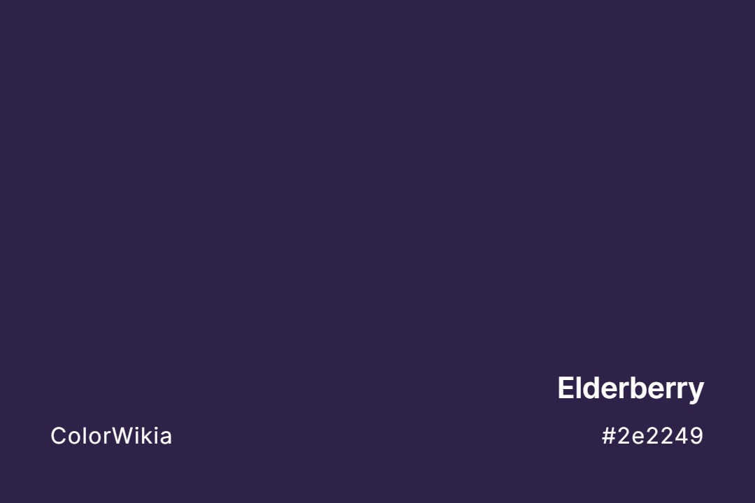 elderberry color 2e2249