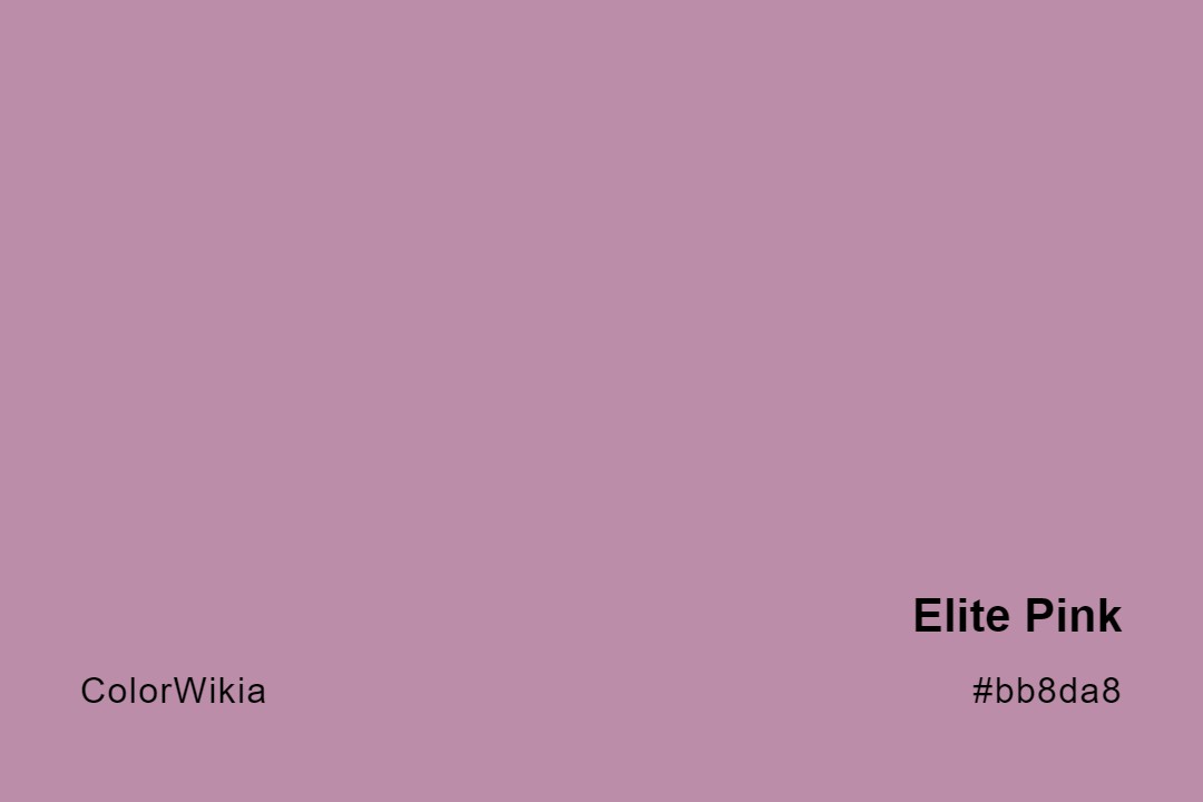 elite pink color bb8da8