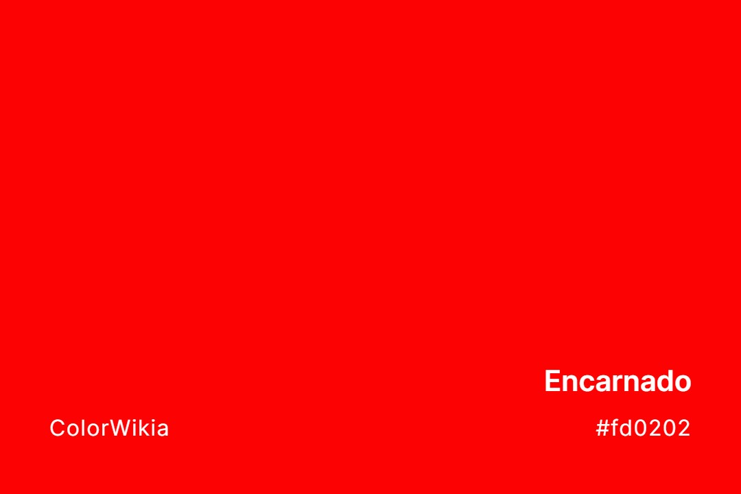 Encarnado Color – #fd0202: Codes and Complete Breakdown