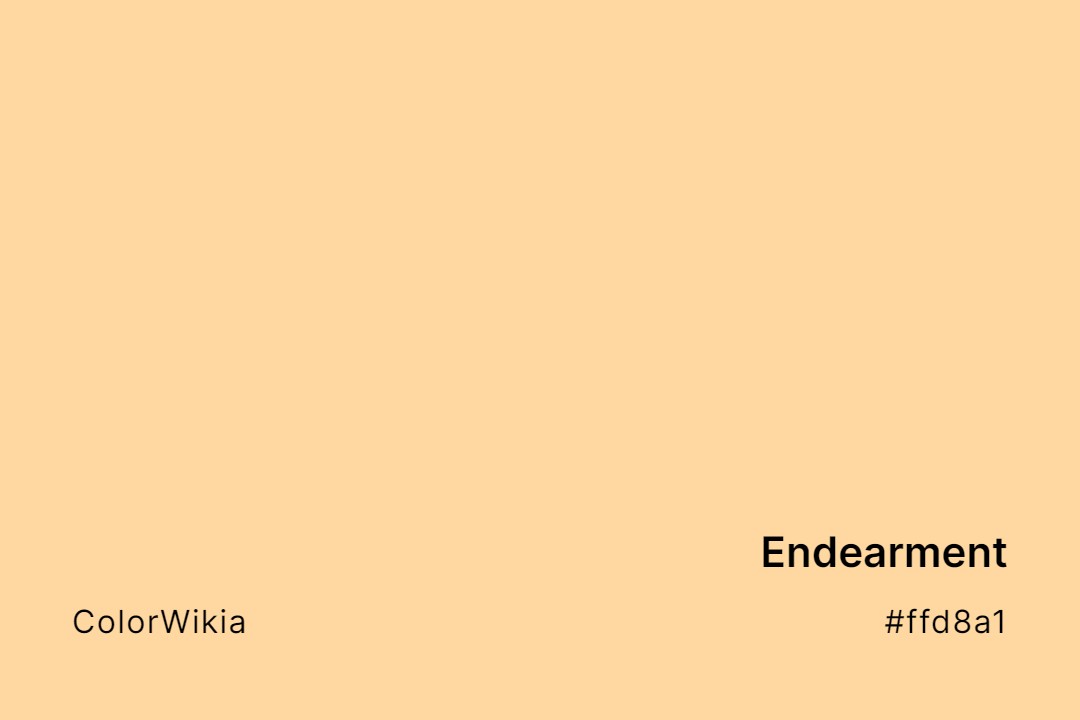 Endearment Color – #ffd8a1: Codes and Complete Breakdown