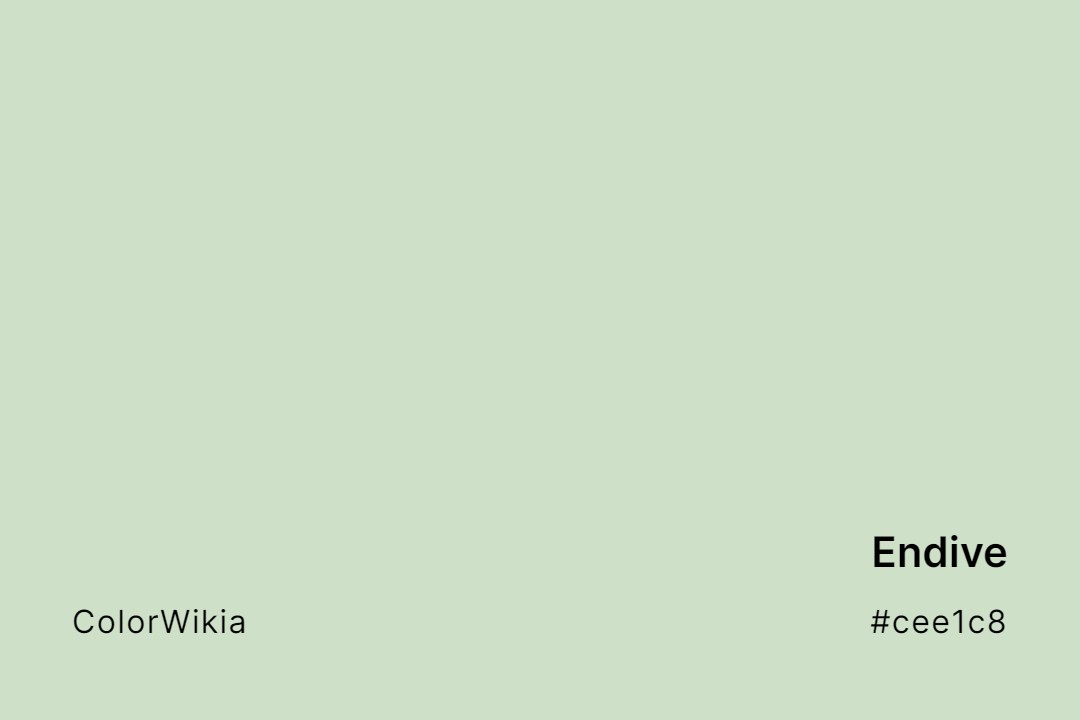 Endive Color – #cee1c8: Codes and Complete Breakdown