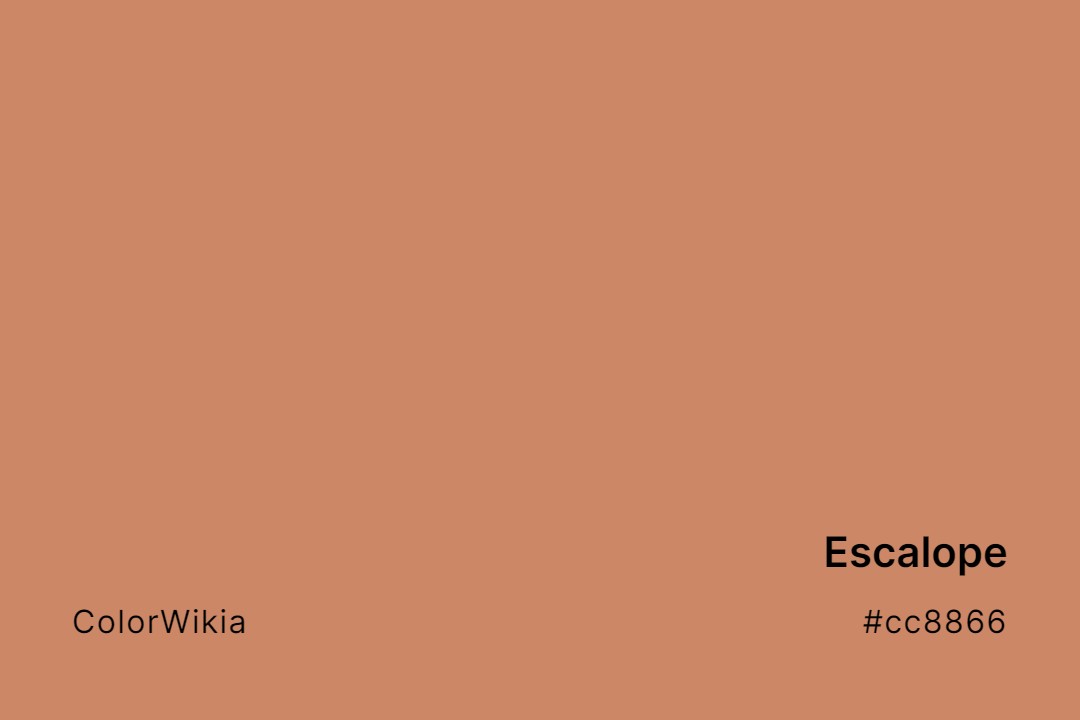 Escalope Color – #cc8866: Codes and Complete Breakdown