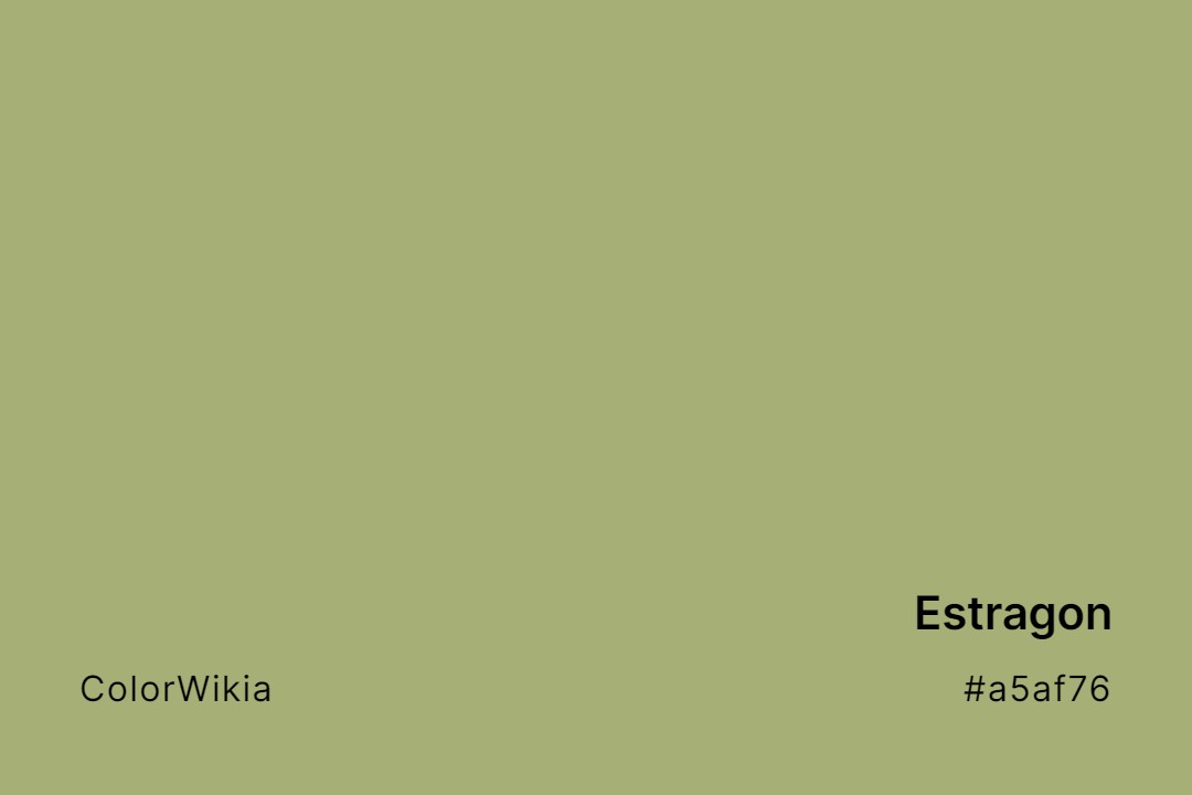 Estragon Color – #a5af76: Codes and Complete Breakdown
