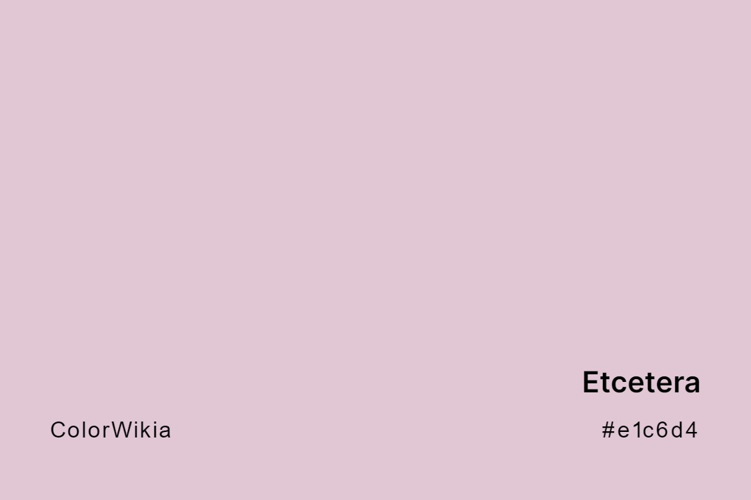 Etcetera Color – #e1c6d4: Codes and Complete Breakdown