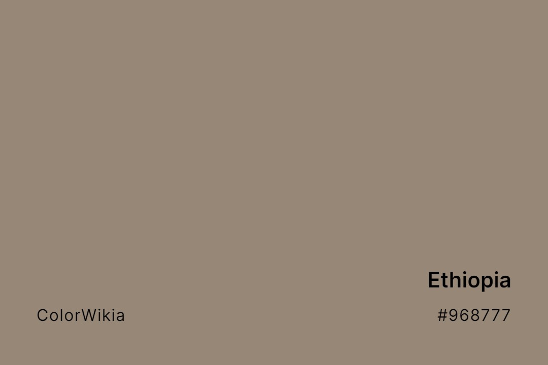 Ethiopia Color – #968777: Codes and Complete Breakdown