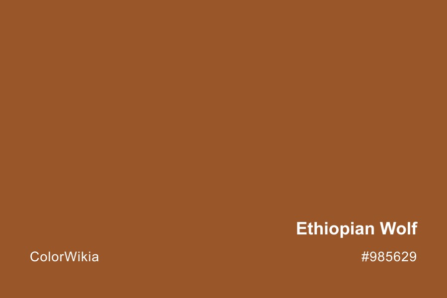 Ethiopian Wolf Color – #985629: Codes and Complete Breakdown