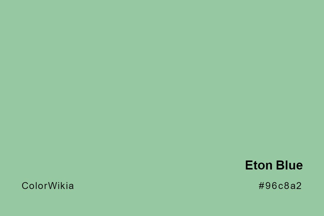 Eton Blue Color – #96c8a2: Codes and Complete Breakdown