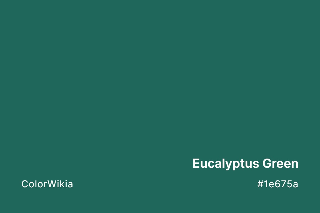 eucalyptus green color 1e675a