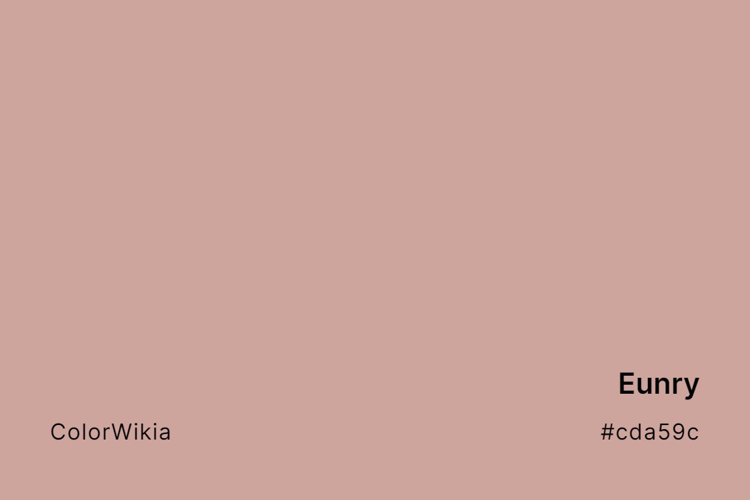 Eunry Color – #cda59c: Codes and Complete Breakdown