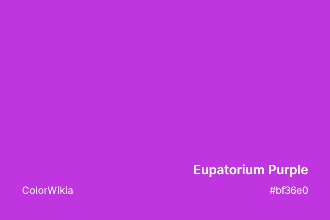 Eupatorium Purple Color – #bf36e0: Codes and Complete Breakdown