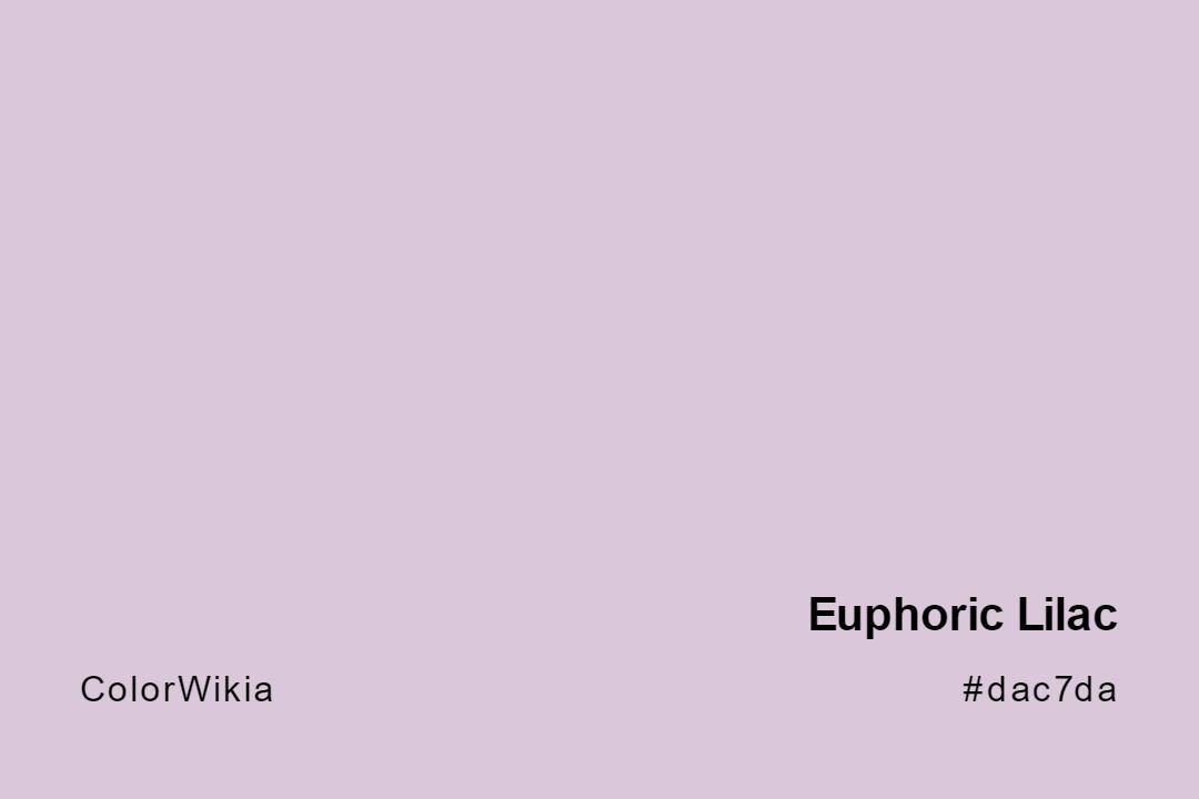 Euphoric Lilac Color – #dac7da: Codes and Complete Breakdown