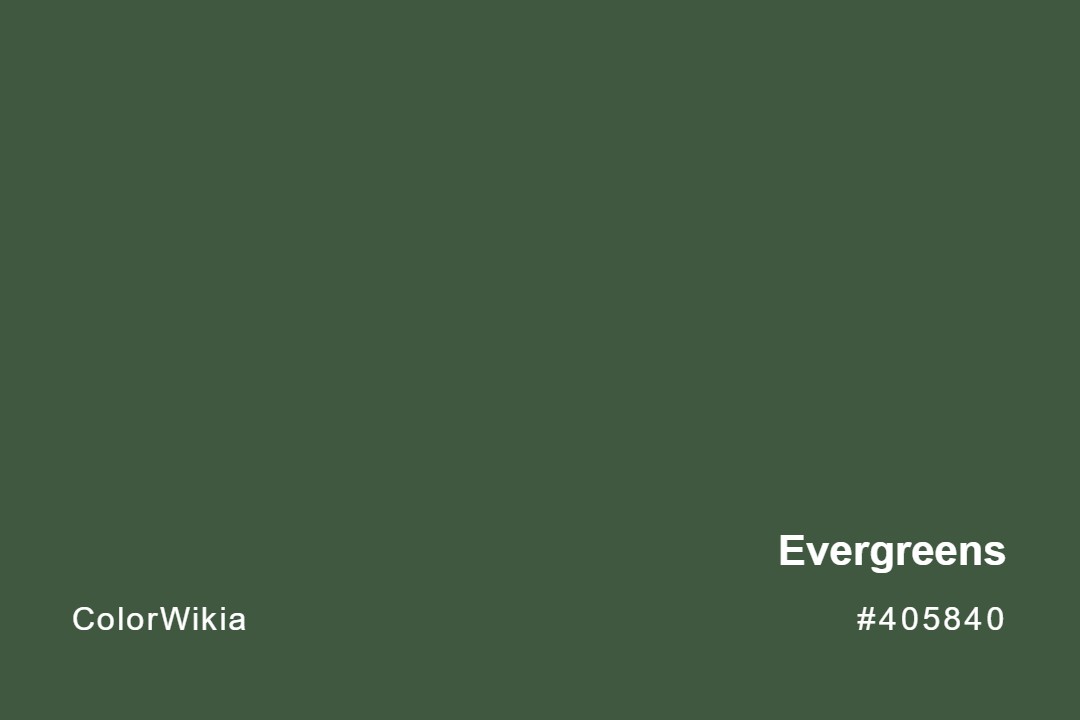 Evergreens Color – #405840: Codes and Complete Breakdown