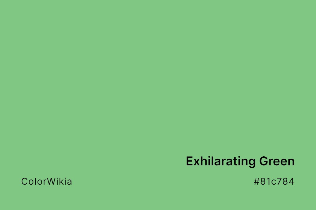 Exhilarating Green Color – #81c784: Codes and Complete Breakdown