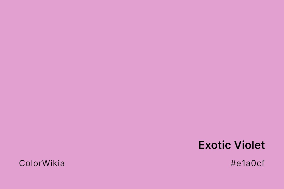 exotic violet color e1a0cf