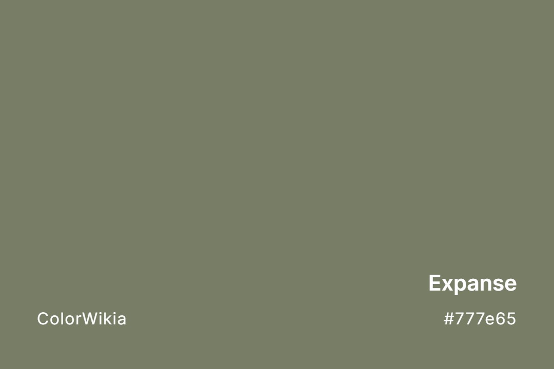 Expanse Color – #777e65: Codes and Complete Breakdown