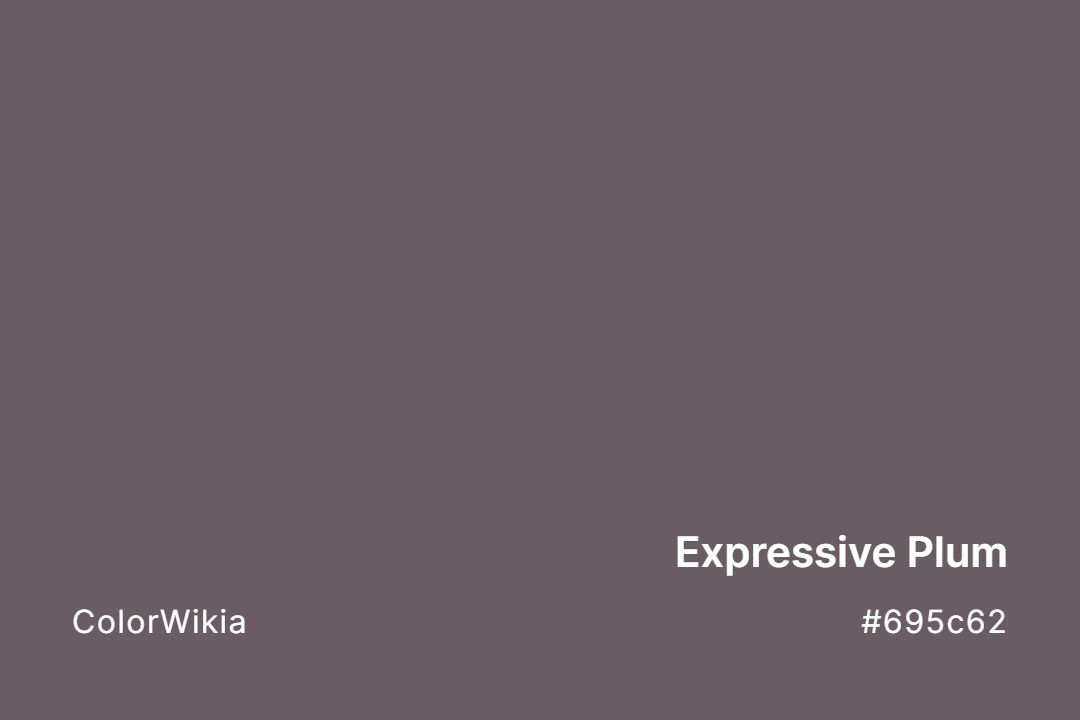 Expressive Plum Color – #695c62: Codes and Complete Breakdown