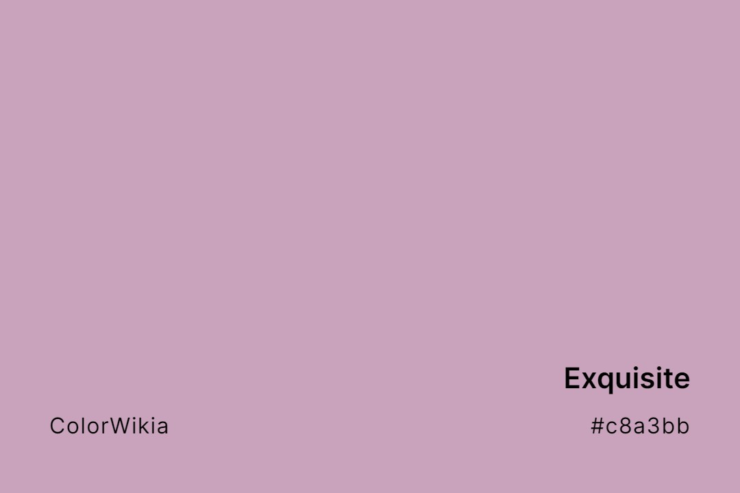 exquisite color c8a3bb
