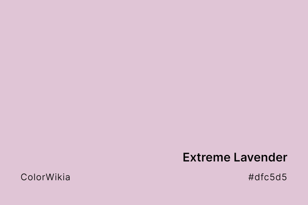 Extreme Lavender Color – #dfc5d5: Codes and Complete Breakdown