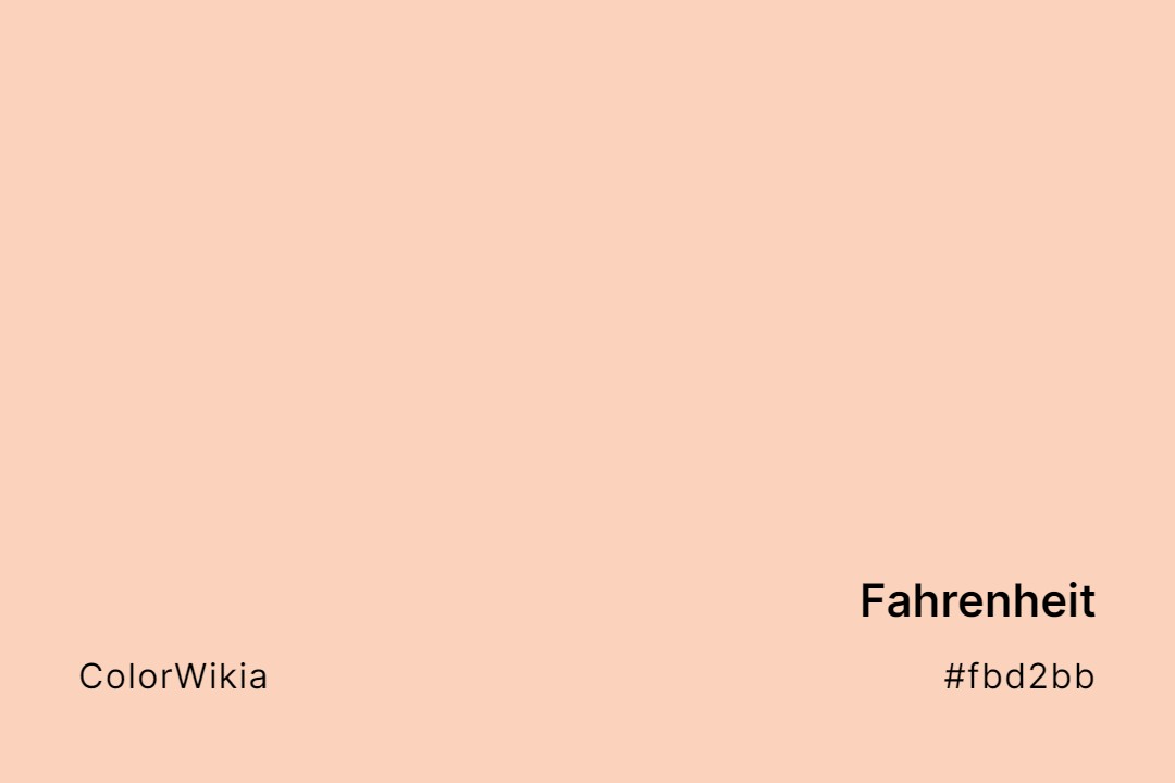 Fahrenheit Color – #fbd2bb: Codes and Complete Breakdown
