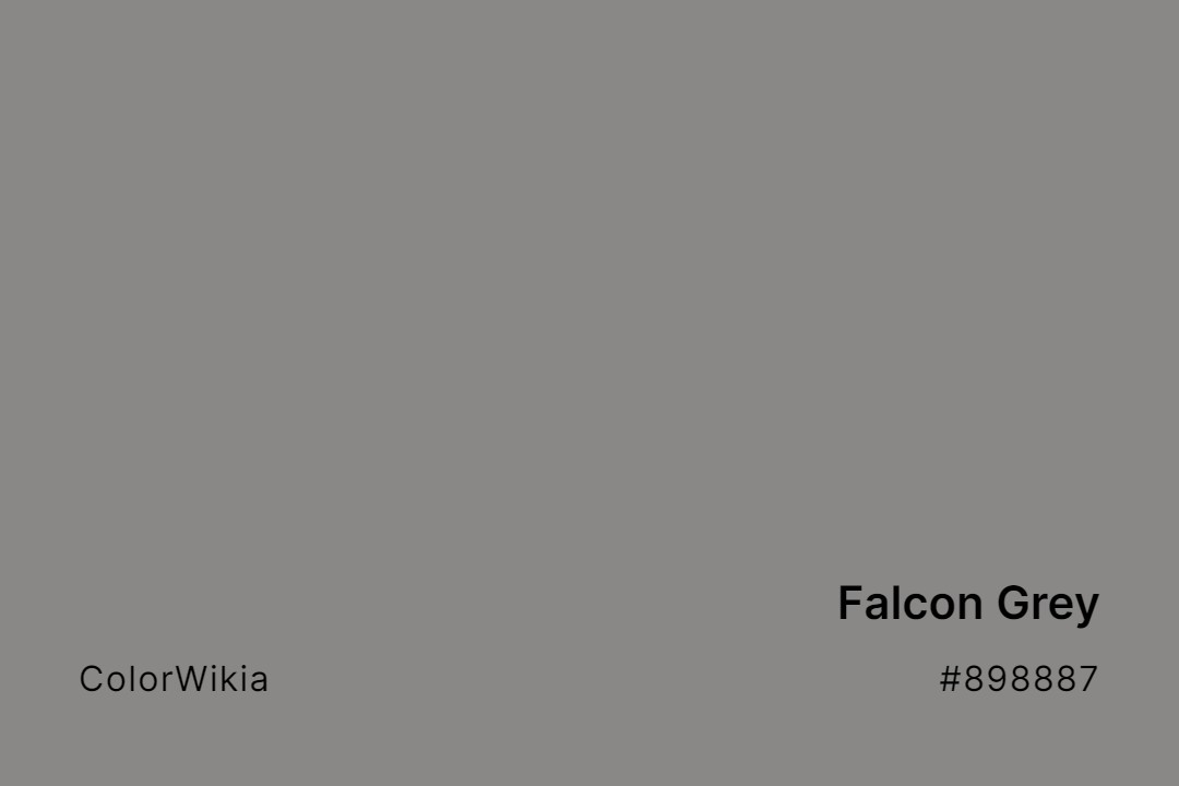 Falcon Grey Color – #898887: Codes and Complete Breakdown