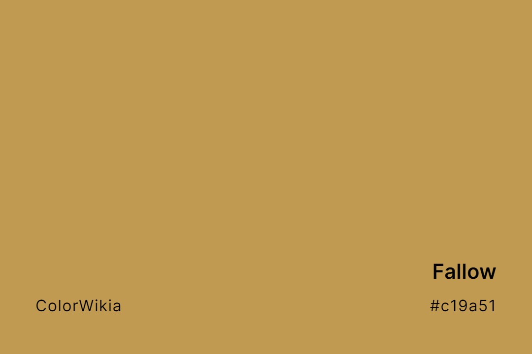 Fallow Color – #c19a51: Codes and Complete Breakdown