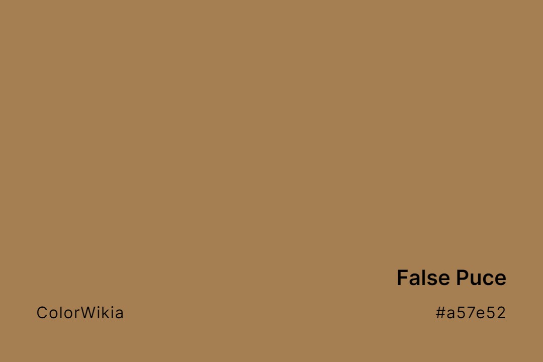 False Puce Color – #a57e52: Codes and Complete Breakdown