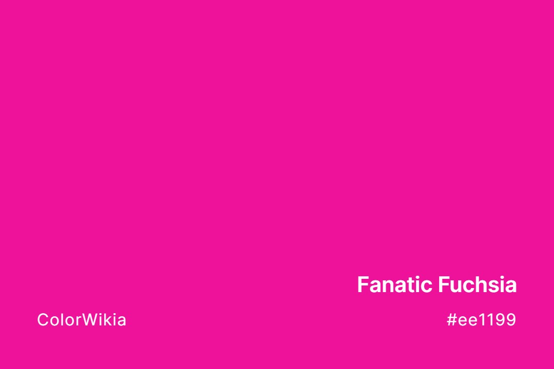 Fanatic Fuchsia Color – #ee1199: Codes and Complete Breakdown