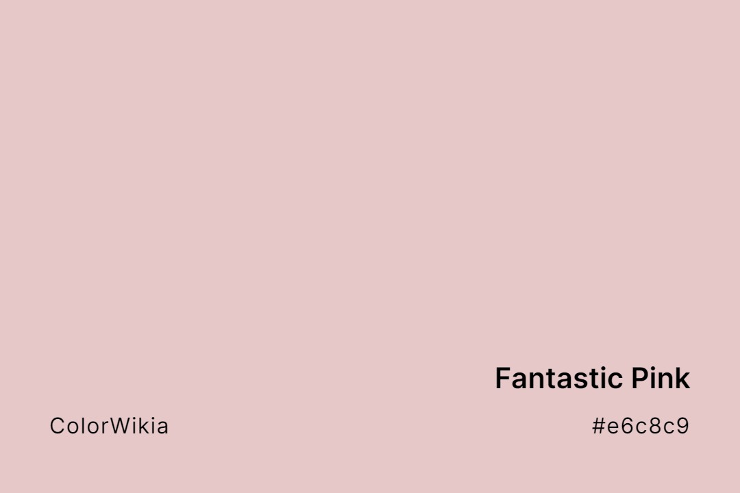 Fantastic Pink Color – #e6c8c9: Codes and Complete Breakdown