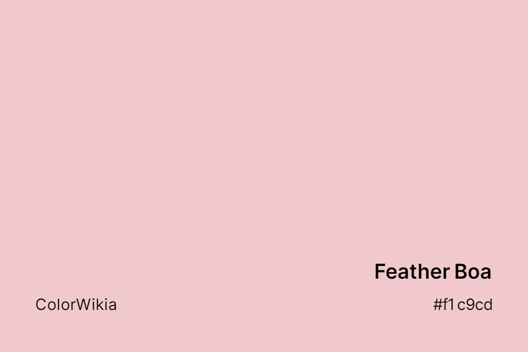 feather boa color f1c9cd