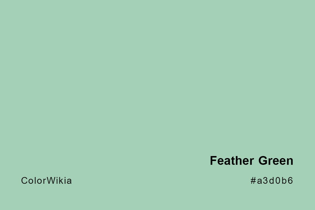 feather green color a3d0b6