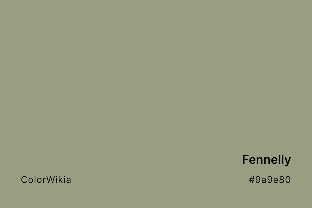 Fennelly Color – #9a9e80: Codes and Complete Breakdown