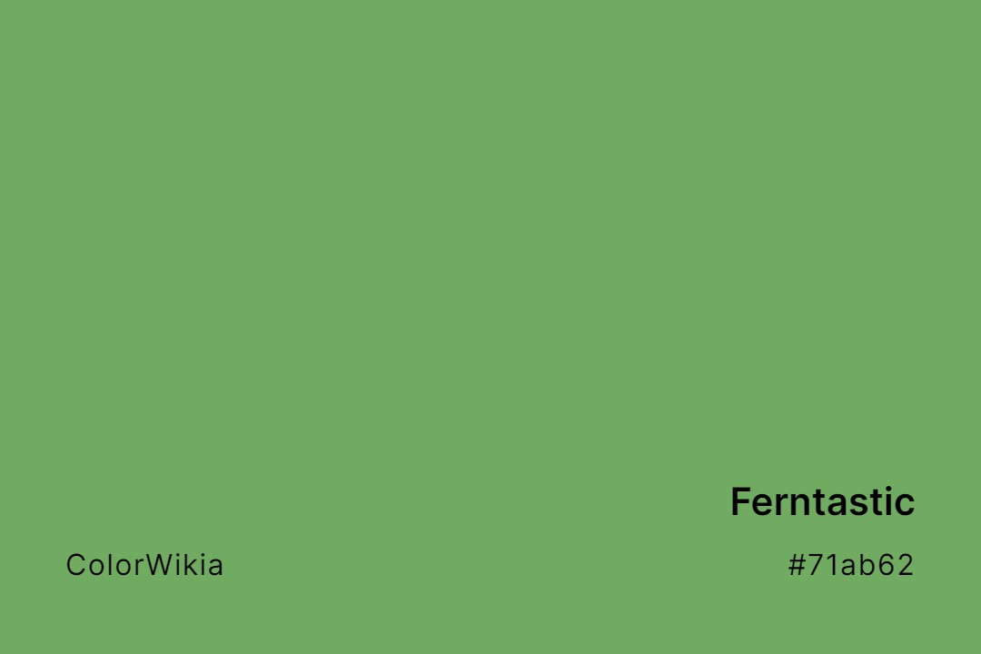 Ferntastic Color – #71ab62: Codes and Complete Breakdown