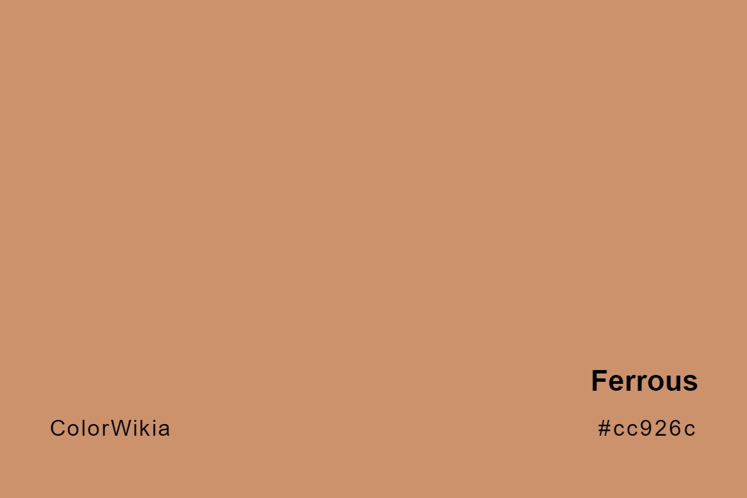 Ferrous Color – #cc926c: Codes and Complete Breakdown