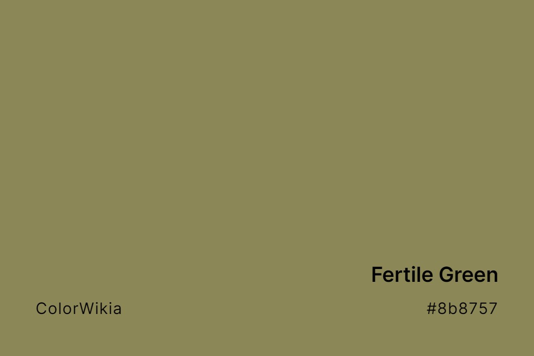 Fertile Green Color – #8b8757: Codes and Complete Breakdown